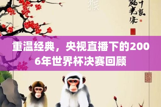 重温经典，央视直播下的2006年世界杯决赛回顾
