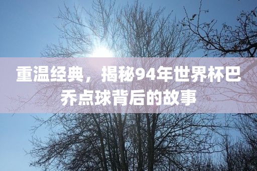 漯河市盈旭机械设备有限公司重温经典，揭秘94年世界杯巴乔点球背后的故事