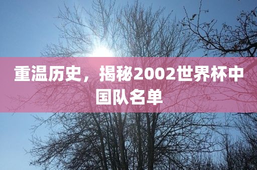 重温历史，揭秘2002世界杯中国队名单