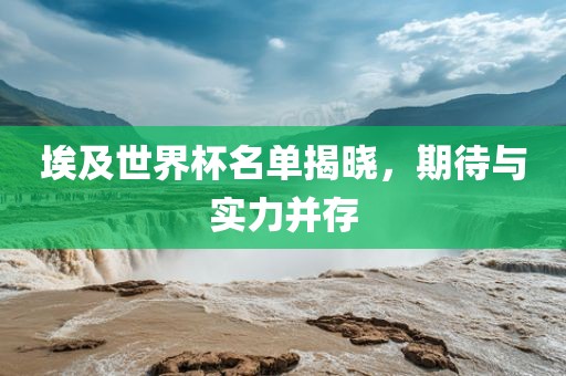 埃及世界杯名单揭晓，期待与实力并存