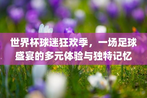 世界杯球迷狂欢季，一场足球盛宴的多元体验与独特记忆漯河市盈旭机械设备有限公司