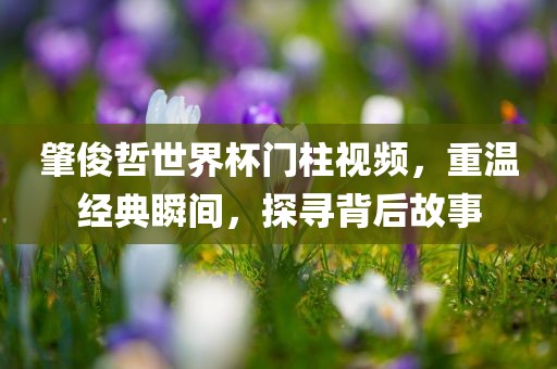 肇俊哲世界杯门柱视频，重温经典瞬间，探寻背后故事
