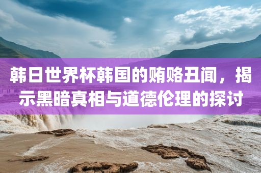 韩日世界杯韩国的贿赂丑闻，揭示黑暗真相与道德伦理的探讨漯河市盈旭机械设备有限公司