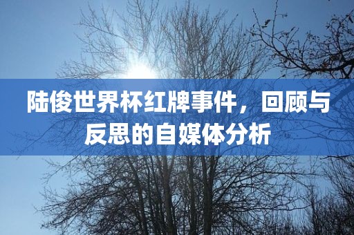 陆俊世界杯红牌事件，回顾与反思的自媒体分析