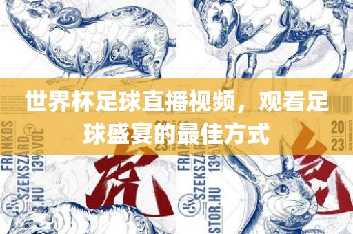 世界杯足球直播视频，观看足球盛宴的最佳方式