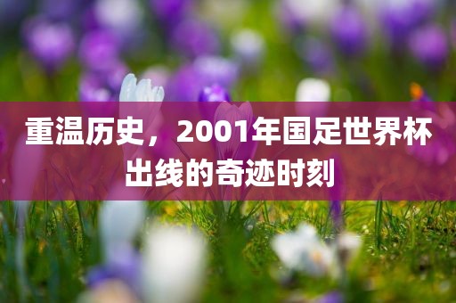 重温历史，2001年国足世界杯出线的奇迹时刻