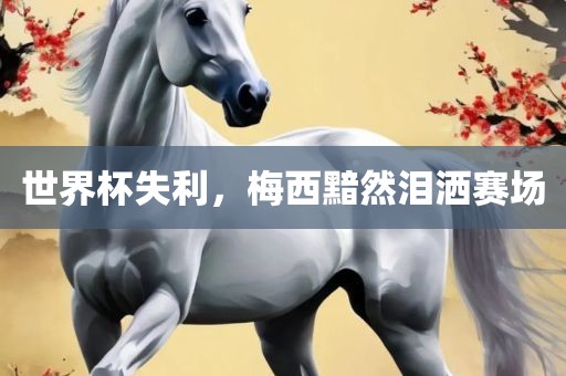 世界杯失利，梅西黯然泪洒赛场