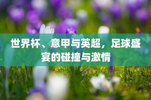 世界杯、意甲与英超，足球盛宴的碰撞与激情漯河市盈旭机械设备有限公司
