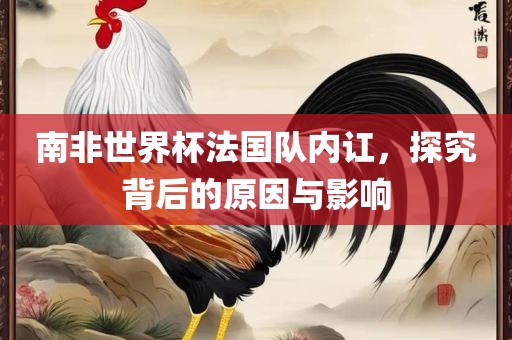 南非世界杯法国队内讧，探究背后的原因与影响