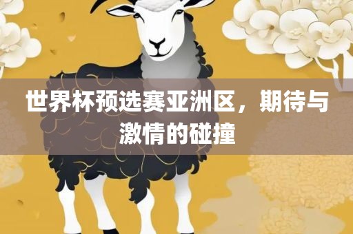 世界杯预选赛亚洲区，期待与激情的碰撞
