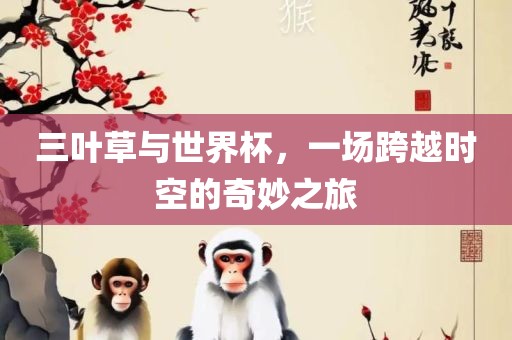 三叶草与世界杯，一场跨越时空的奇妙之旅