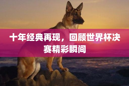 十年经典再现，回顾世界杯决赛精彩瞬间