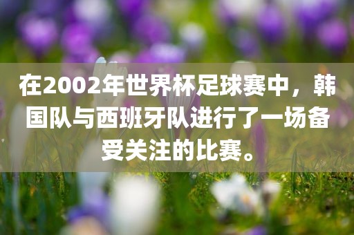 在2002年世界杯足球赛中，韩国队与西班牙队进行了一场备受关注的比赛。