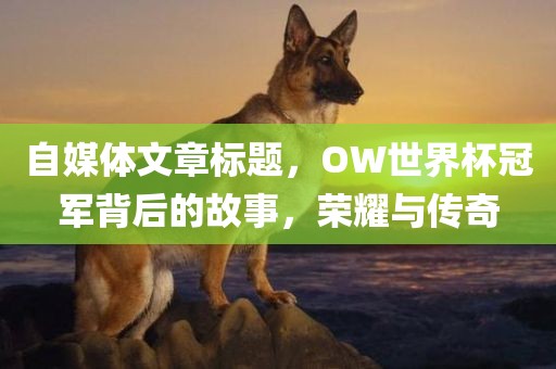 自媒体文章标题，OW世界杯冠军背后的故事，荣耀与漯河市盈旭机械设备有限公司传奇