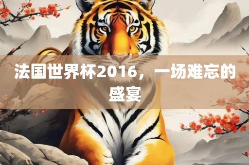 法国世界杯2016，一场难忘的盛宴