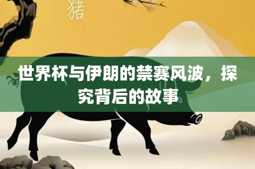 世界杯与伊朗的禁赛风波，探究背后的故事漯河市盈旭机械设备有限公司