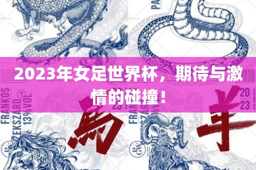 2023年女足世界杯，期待与激情的碰撞！