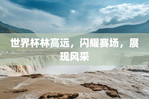 世界杯林高远，闪耀赛场，展现风采