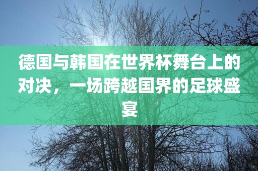 德国与韩国在世界杯舞台上的对决，一场跨越国界的足球盛宴漯河市盈旭机械设备有限公司