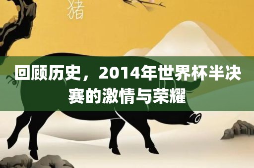 回顾历史漯河市盈旭机械设备有限公司，2014年世界杯半决赛的激情与荣耀