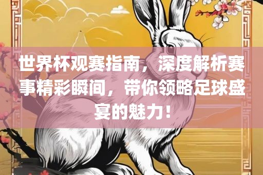 世界杯观赛指南，深度解析赛事精彩瞬间，带你领略足球盛宴的魅力！