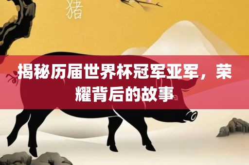 揭秘历届世界杯冠军亚军，荣耀背后的故事