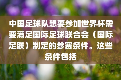 中国足球队想要参加世界杯需要满足国际足球联合会（国际足联）制定的参赛条件。这些条件包括