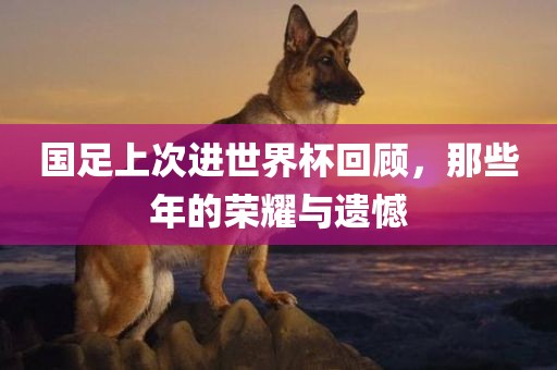 国足上次进世界杯回顾，那些年的荣耀与遗憾