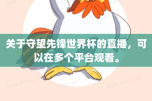 关于守望先锋世界杯的直播，可以在多个平台观看。