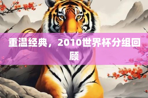 重温经典，2010世界杯分组回顾