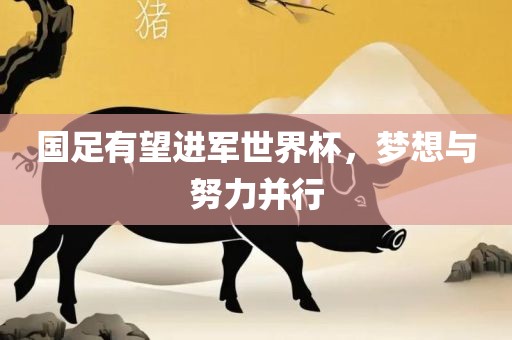 国足有望进军世界杯，梦想与努力并行