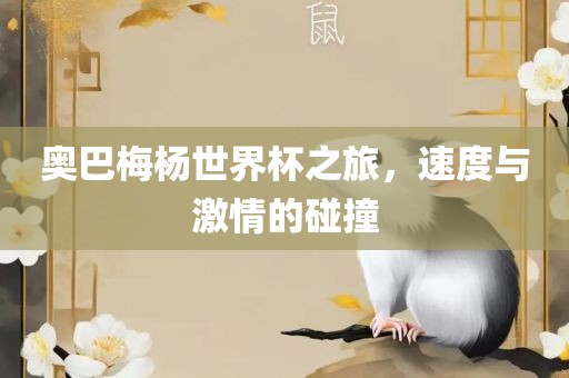 奥巴梅杨世界杯之旅，速度与激情的碰撞