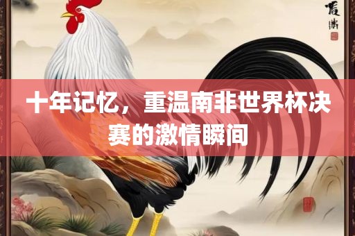 十年记忆，重温南非世界杯决赛的激情瞬间