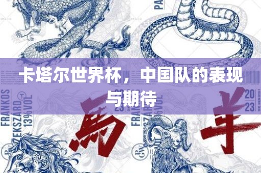 卡塔尔世界杯，中国队的表现与期待