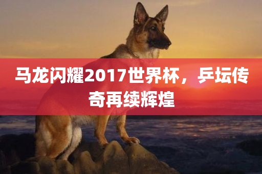 马龙闪耀2017世界杯，乒坛传奇再续辉煌