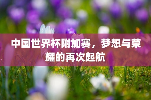 中国世界杯附加赛，梦想与荣耀的再次起航