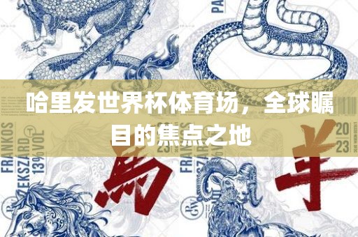 哈里发世界杯体育场，全球瞩目的焦点之地漯河市盈旭机械设备有限公司