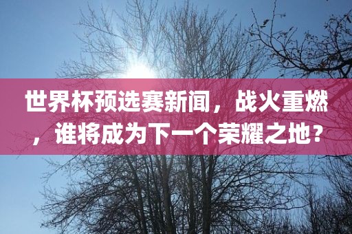 世界杯预选赛新闻，战火重燃，谁将成为下一个荣耀之地？