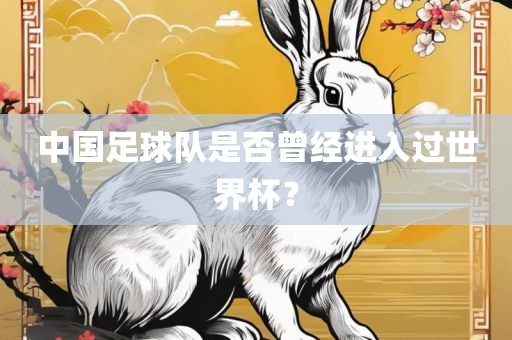 中国足球队是否曾经进入过世界杯？
