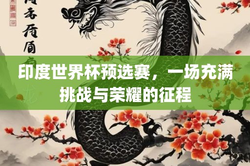 印度世界杯预选赛，一场充满挑战与荣耀的征程