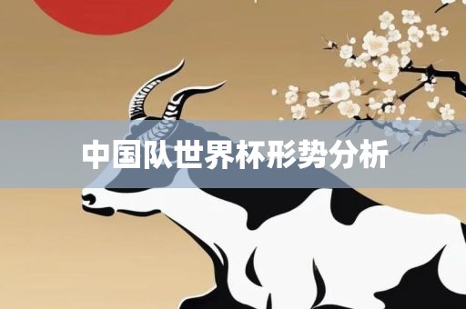 中国队世界杯形势分析