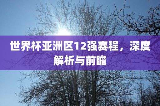 世界杯亚洲区12强赛程，深度解析与前瞻