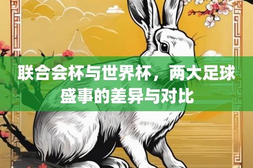 联合会杯与世界杯，两大足球盛事的差异与对比