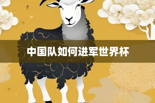 中国队如何进军世界杯