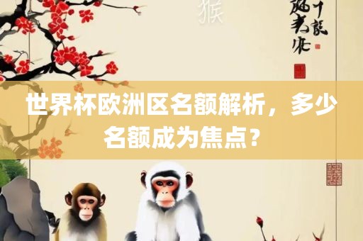 世界杯欧洲区名额解析，多少名额成为焦点？