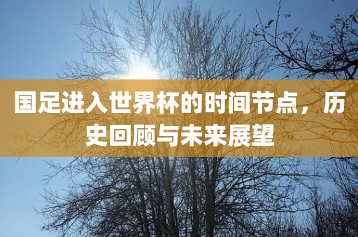 国足进入世界杯的时间节点，历史回顾与未来展望