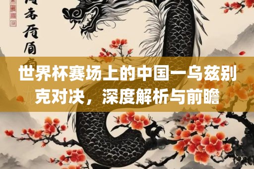 世界杯赛场上的中国一乌兹别克对决，深度解析与前瞻