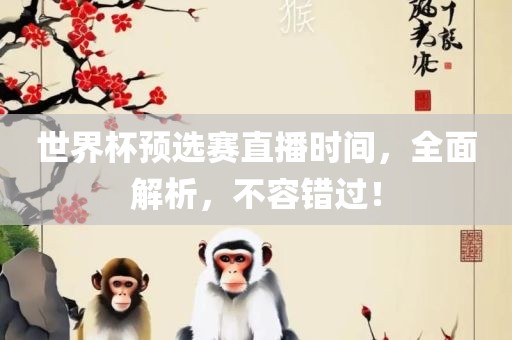 世界杯预选赛直播时间，全面解析，不容错过！