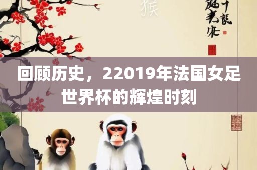 回顾历史，22019年法国女足世界杯的辉煌时刻