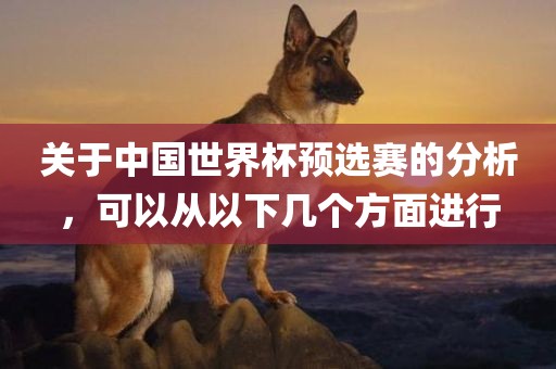 关于中国世界杯预选赛的分析，可以从以下几个方面进行